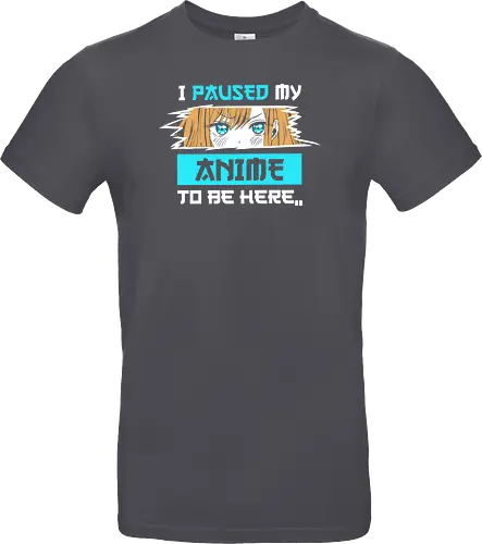 paused my anime for you