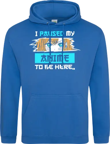 paused my anime for you