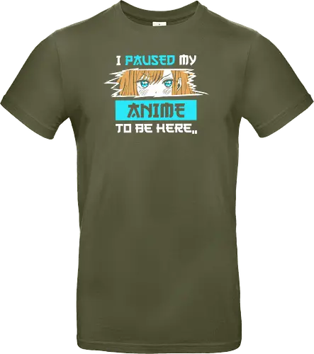 paused my anime for you