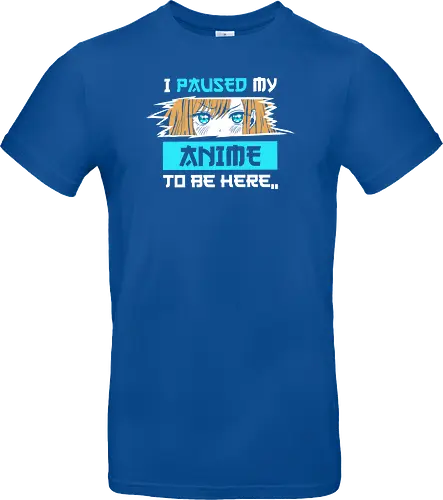 paused my anime for you