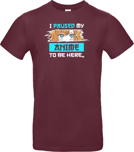 paused my anime for you