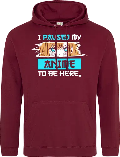 paused my anime for you