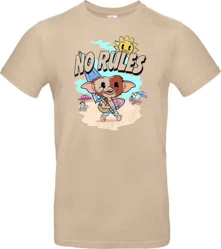 No Rules