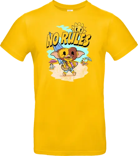 No Rules