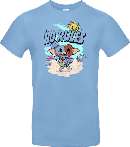 No Rules