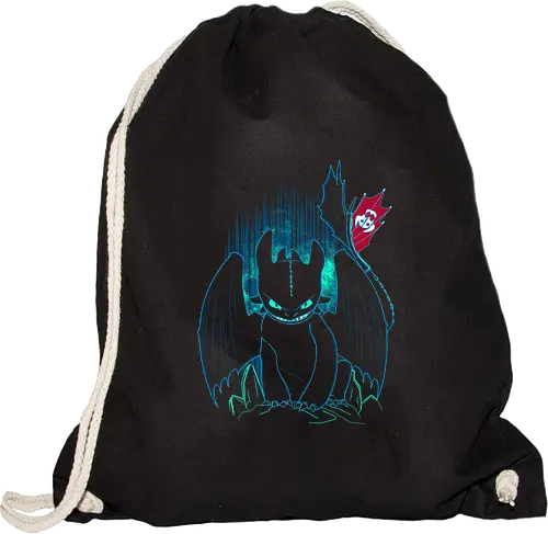 Shadow of the Night Fury