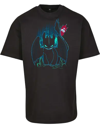 Shadow of the Night Fury