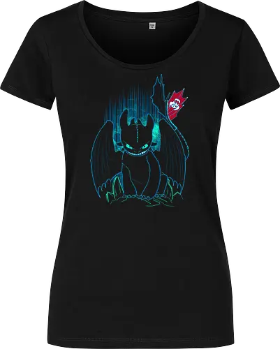 Shadow of the Night Fury