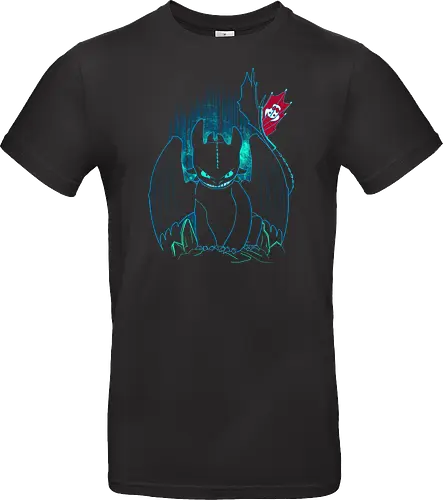 Shadow of the Night Fury