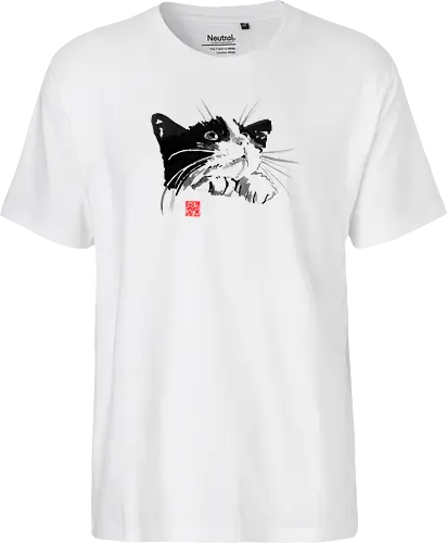 Begging cat