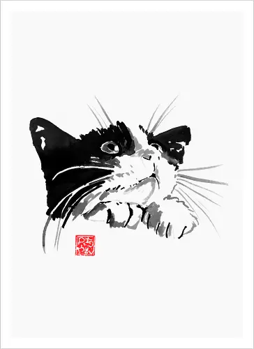 Begging cat