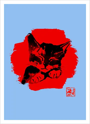 Cute Cat