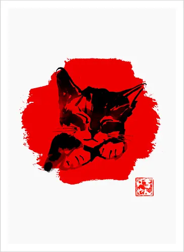 Cute Cat