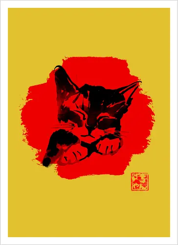 Cute Cat