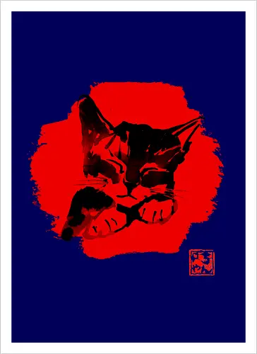 Cute Cat