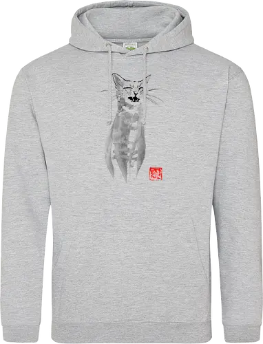 blinking cat