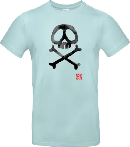 Space Pirate Flag