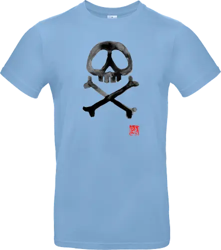 Space Pirate Flag
