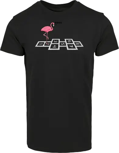 Hopping Flamingo!