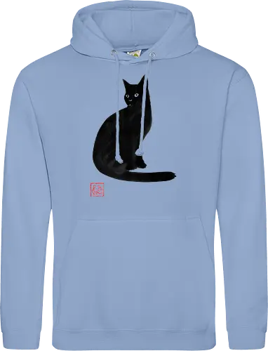 simple black cat