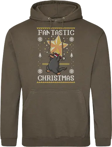 Fantastic Christmas!