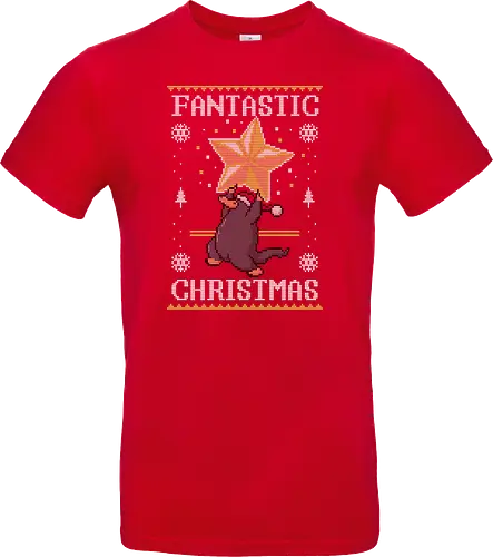 Fantastic Christmas!