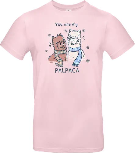You are my Palpaca