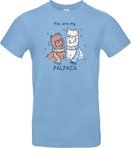 You are my Palpaca