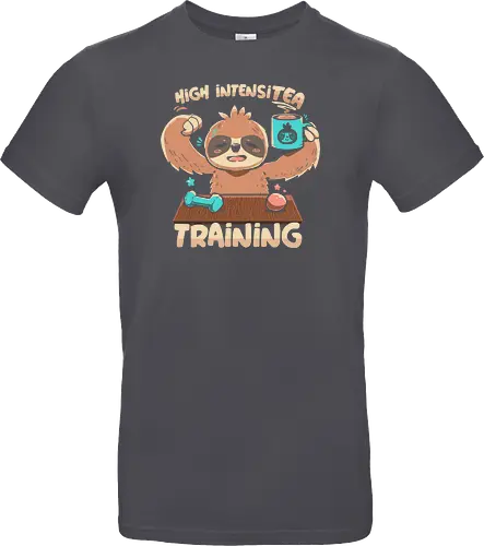 High IntensiT Training Sloth