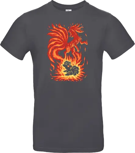 The Flame Tailed Fox Within