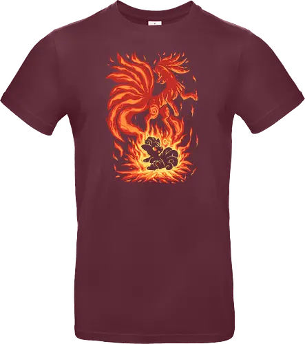 The Flame Tailed Fox Within