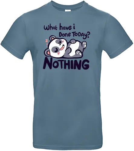 Done Nothing Today - panda, cute, nothing, nichts, chill - Standard T-Shirt