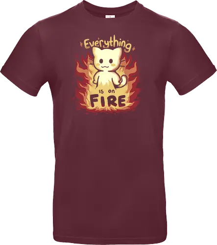 Everything is on Fire