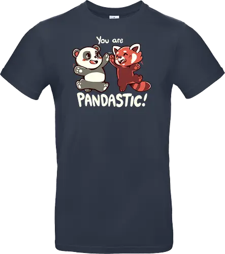 You are Pandastic