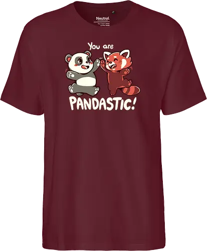 You are Pandastic