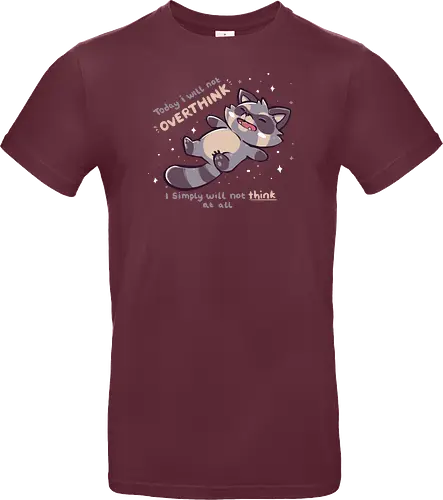 No Thoughts Raccoon