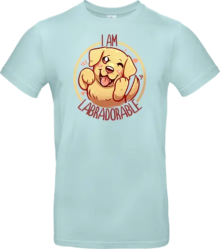 I am Labradorable