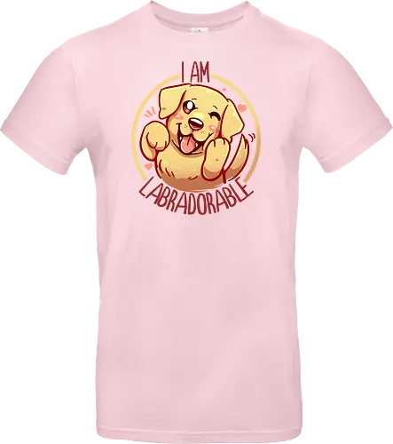 I am Labradorable