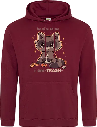 Be Nice to me I am Trash