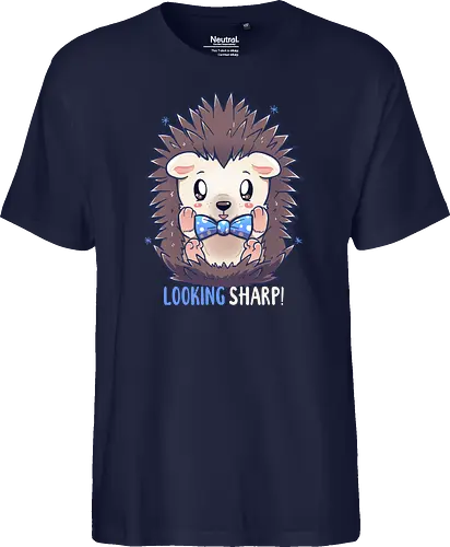 Looking Sharp Hedgehog