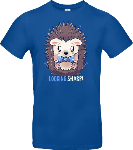 Looking Sharp Hedgehog