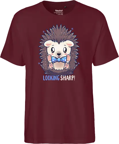 Looking Sharp Hedgehog