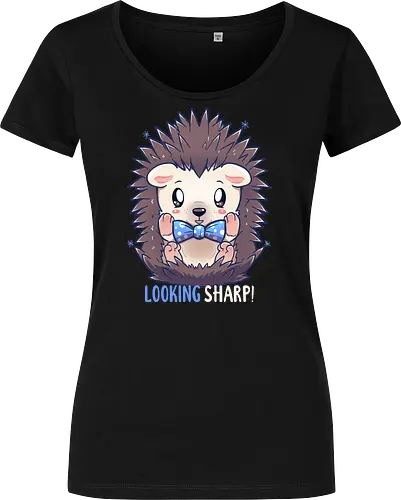 Looking Sharp Hedgehog