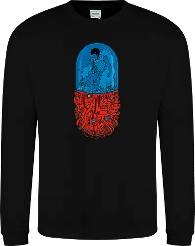 Capsule 41