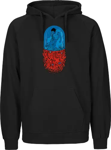 Capsule 41