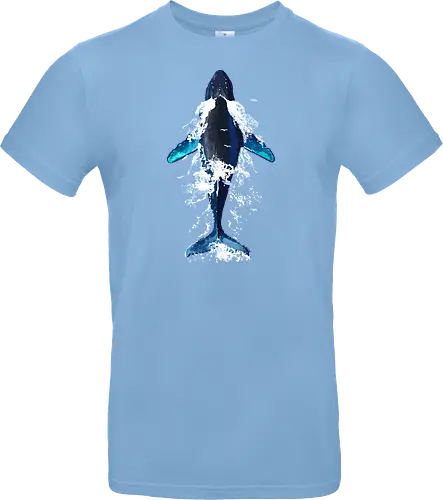 Humpback whale in ocean