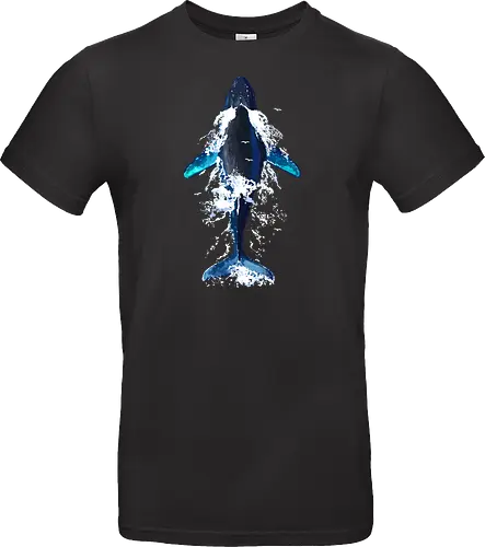 Humpback whale in ocean