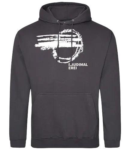 Logo VR3 - Standard Hoodie