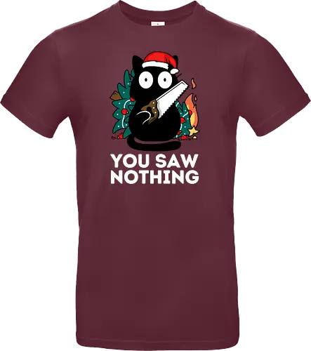 You saw nothing - Christmas Cat
