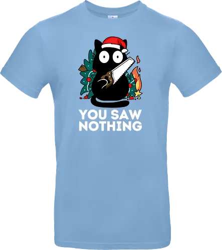 You saw nothing - Christmas Cat